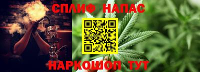 винт Гатчина