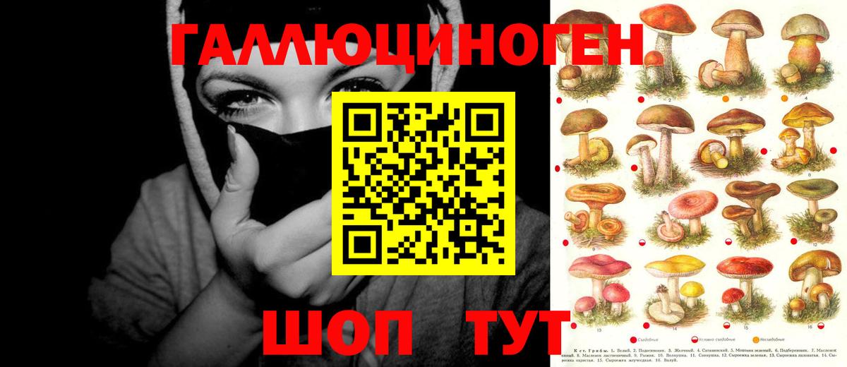 Бошки Шишки Королёв