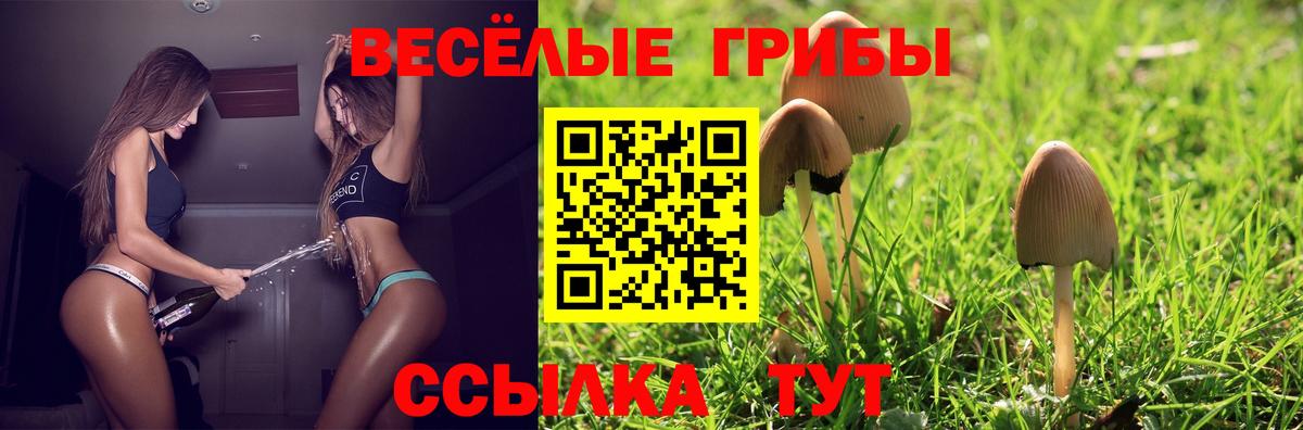 Галлюциногенные грибы ЛСД  Вход с VPN  Королёв 