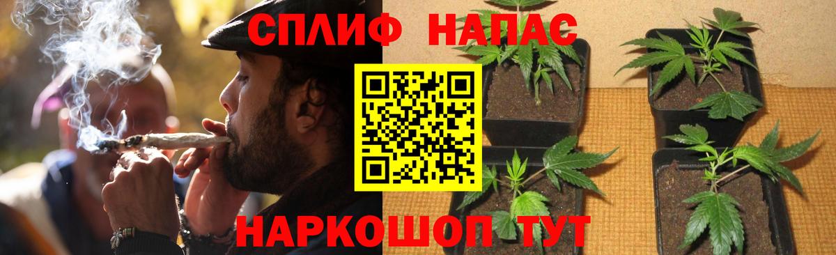 Шишки марихуана LSD WEED  Канабис VHQ  Вход с VPN  Королёв  МАРИХУАНА White Widow 